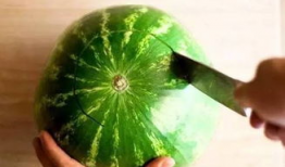 沈阳吃瓜爆料是真的吗,真相还是谣言？