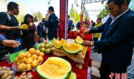 盐城吃瓜爆料视频最新,揭秘当地热门事件幕后真相